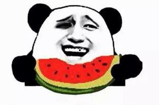 吃瓜群众免费网站,带你走进娱乐八卦的狂欢世界  第2张