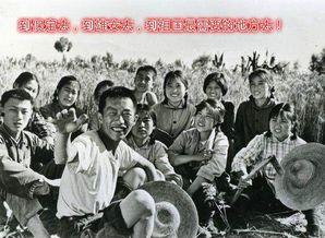 知青奇闻爆料事件视频播放,视频爆料事件背后的惊人真相