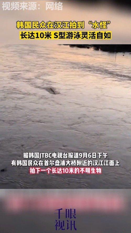 汉江水怪在线观看,一场惊心动魄的在线揭秘之旅