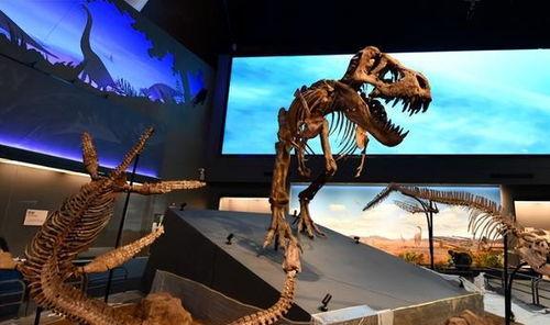 汉江水怪在线观看,一场惊心动魄的在线揭秘之旅 第2张 汉江水怪在线观看,一场惊心动魄的在线揭秘之旅 第2张